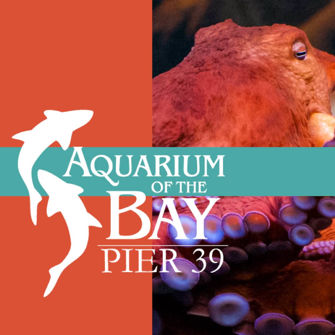 Aquarium of the Bay Ecotarium
